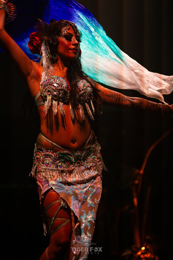 Parisa Ahmed